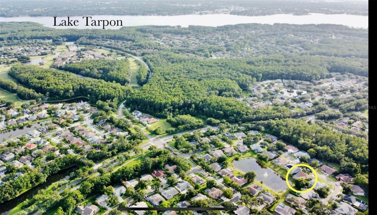 4535 Bardsdale Drive, Palm Harbor, FL 34685 Photo