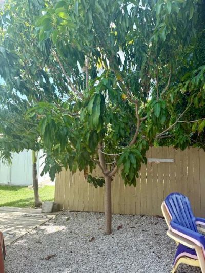 610 N Emerald Drive, Key Largo, FL 33037 Photo