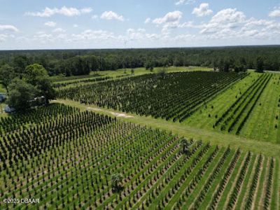 Please Call For Address, White Springs, FL 32096 Photo