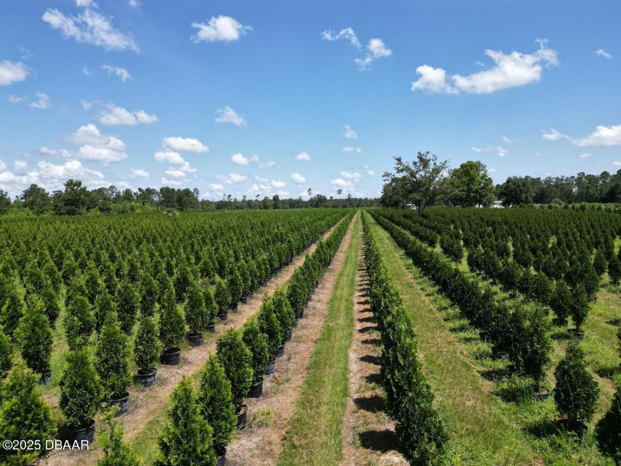 Please Call For Address, White Springs, FL 32096 Photo