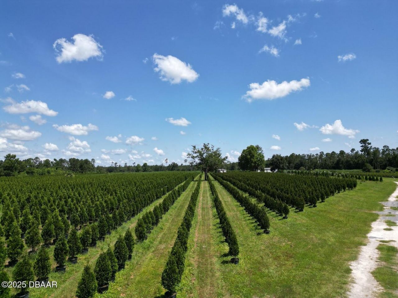 Please Call For Address, White Springs, FL 32096 Photo