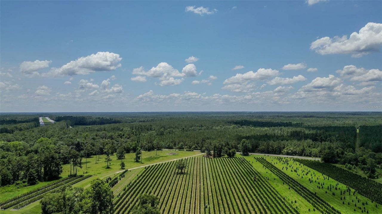 Please Call For Address, White Springs, FL 32096 Photo