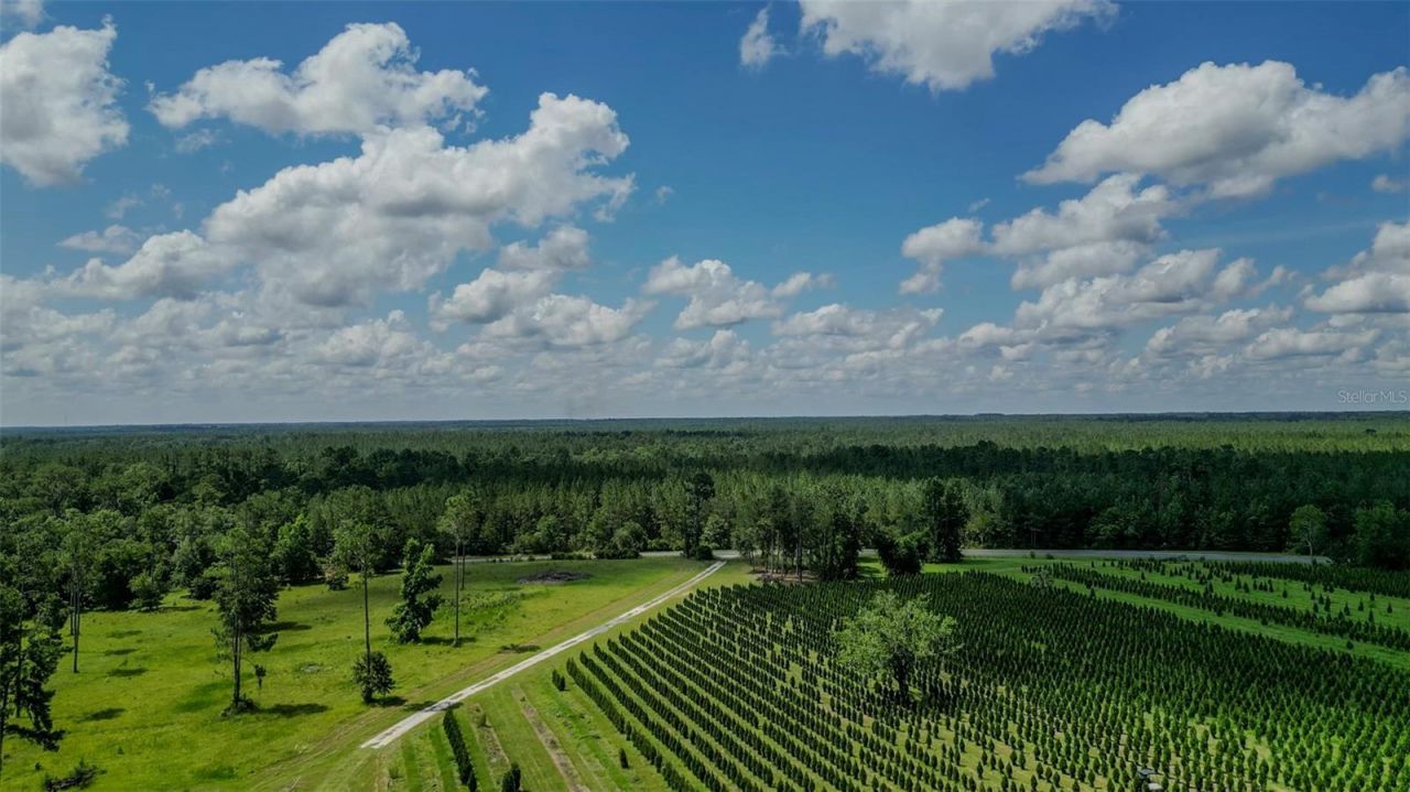 Please Call For Address, White Springs, FL 32096 Photo