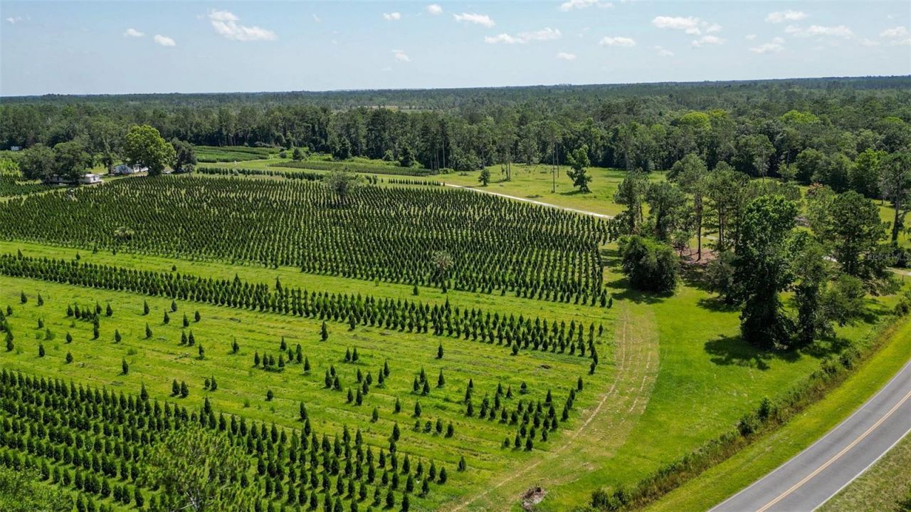 Please Call For Address, White Springs, FL 32096 Photo