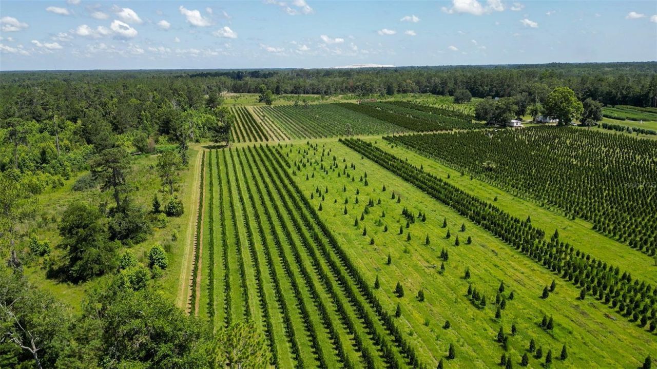 Please Call For Address, White Springs, FL 32096 Photo