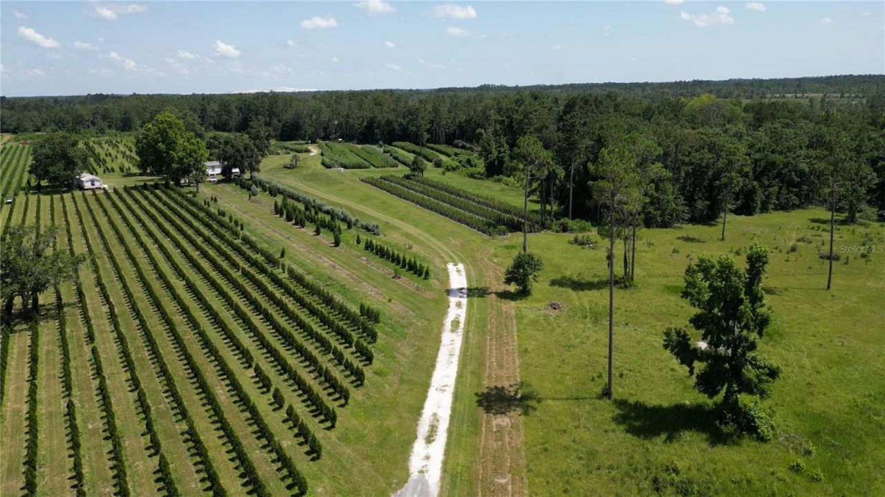 Please Call For Address, White Springs, FL 32096 Photo