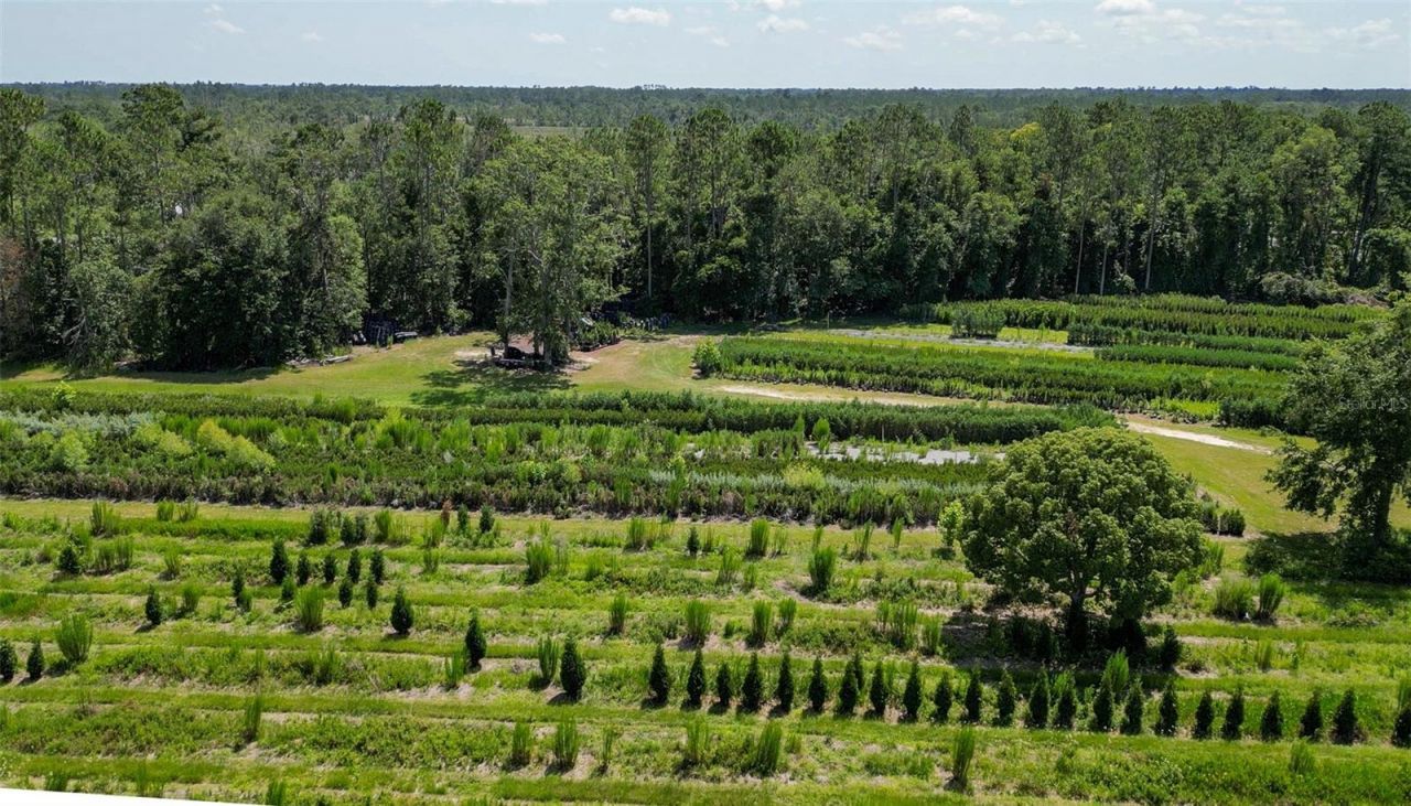 Please Call For Address, White Springs, FL 32096 Photo