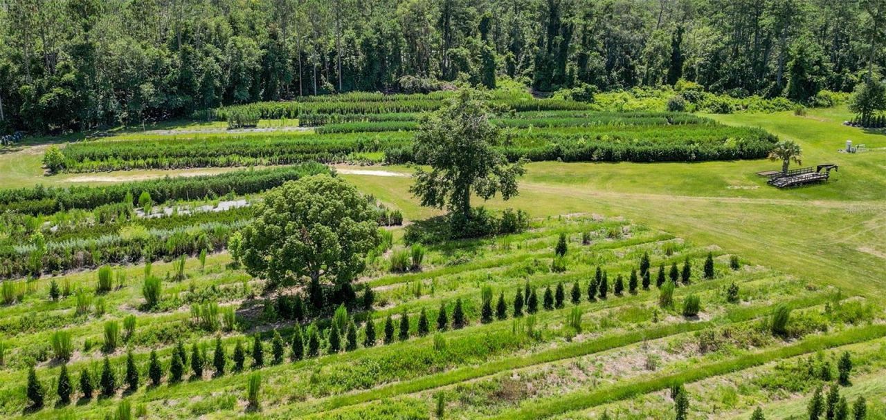 Please Call For Address, White Springs, FL 32096 Photo