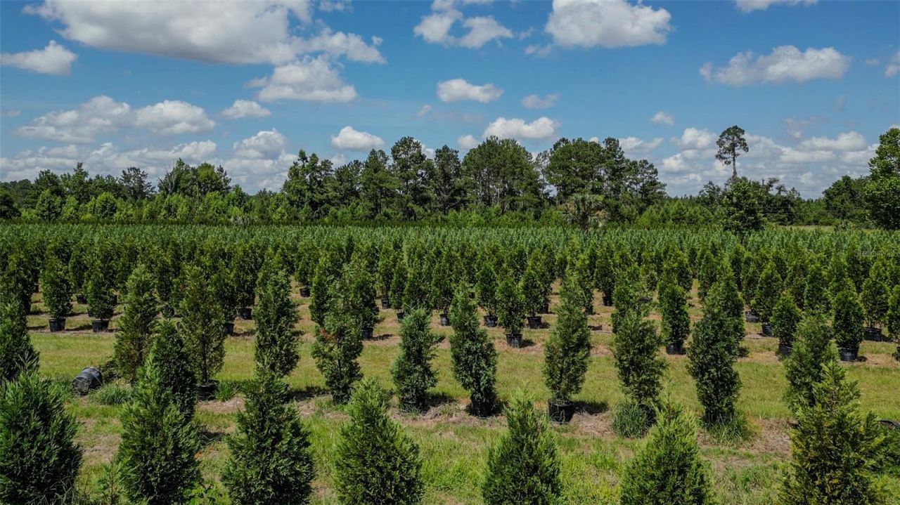 Please Call For Address, White Springs, FL 32096 Photo