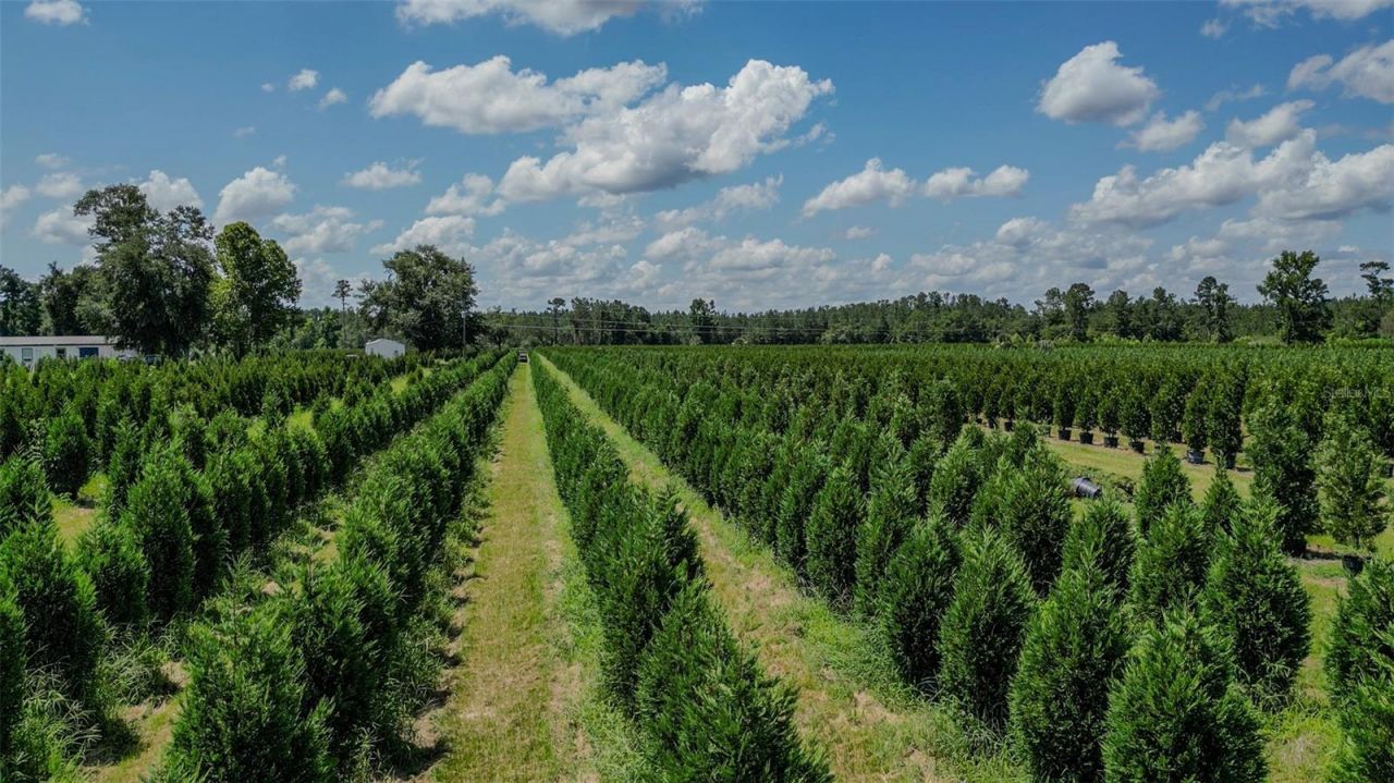 Please Call For Address, White Springs, FL 32096 Photo