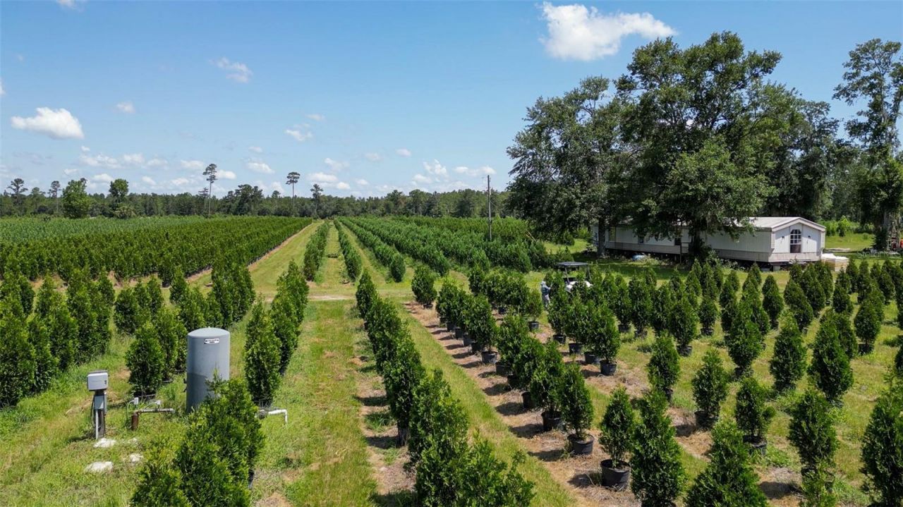 Please Call For Address, White Springs, FL 32096 Photo