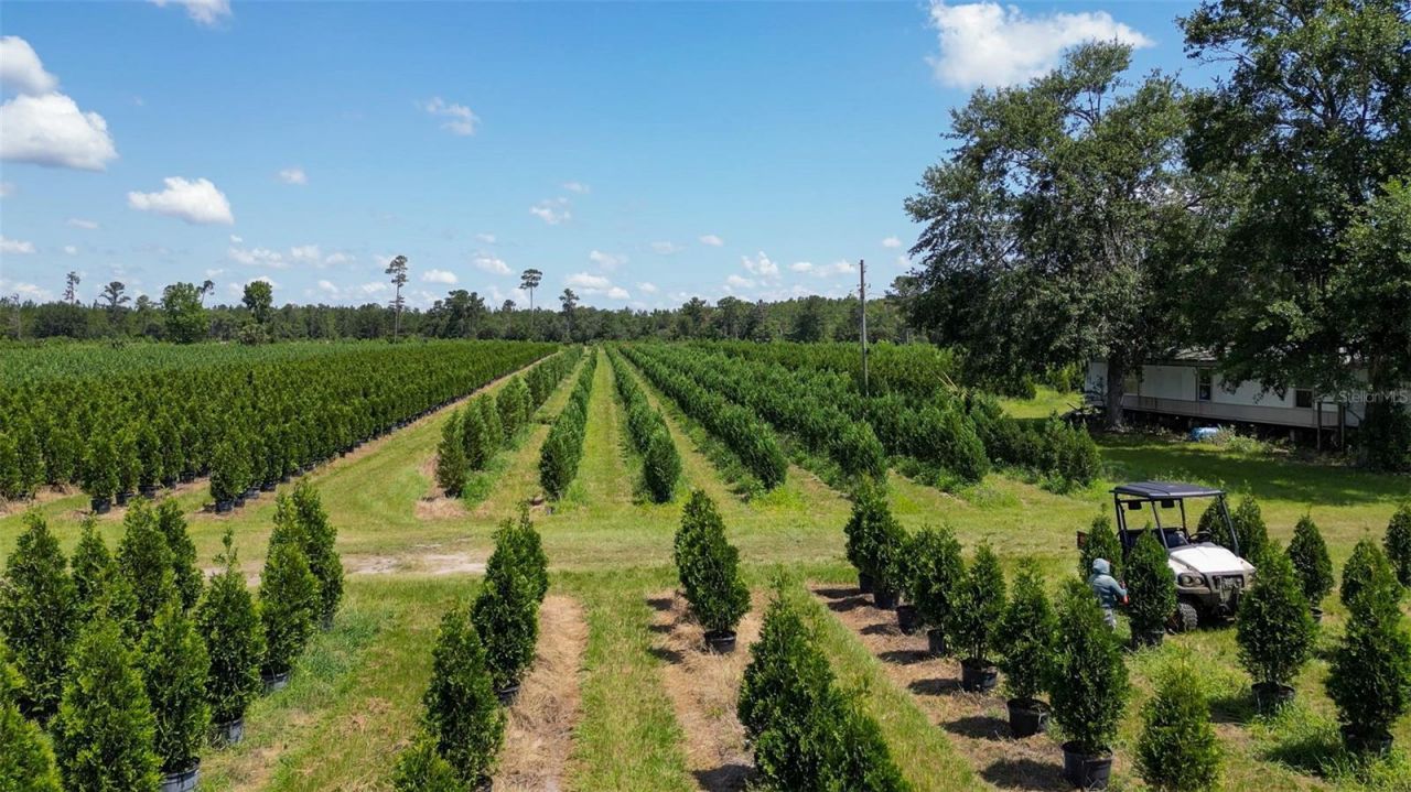 Please Call For Address, White Springs, FL 32096 Photo