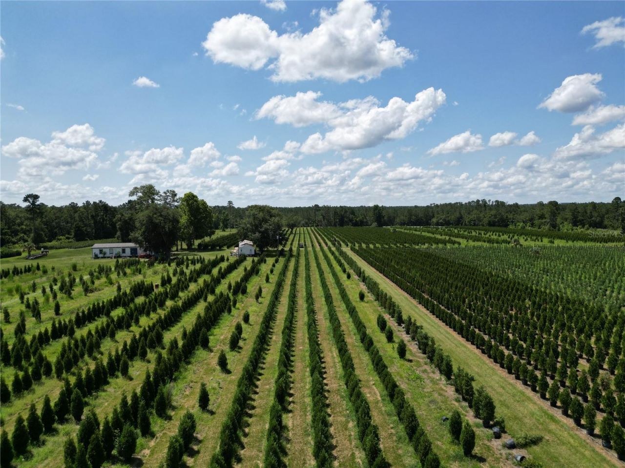 Please Call For Address, White Springs, FL 32096 Photo