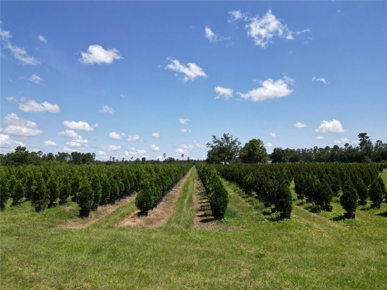 Please Call For Address, White Springs, FL 32096 Photo