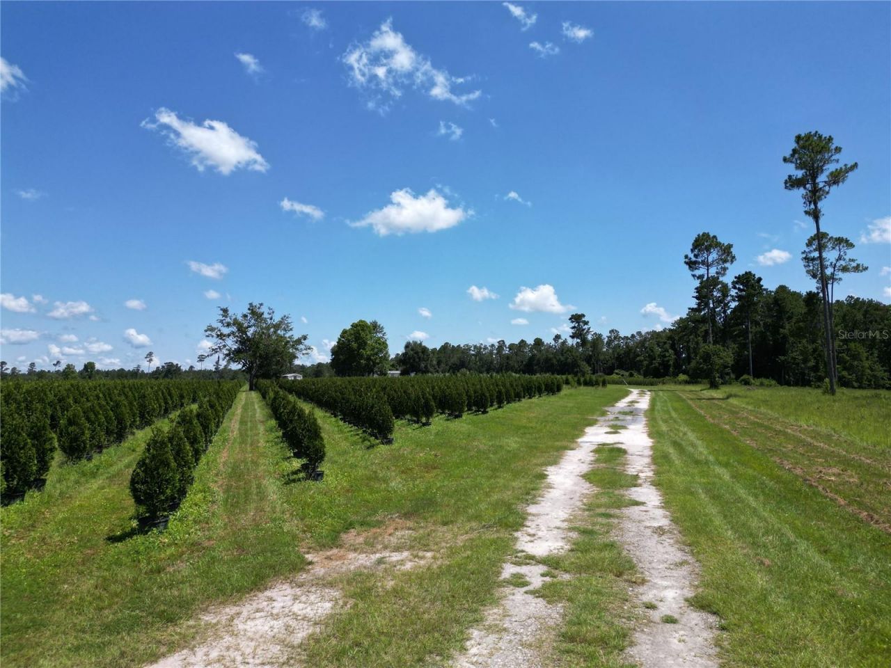 Please Call For Address, White Springs, FL 32096 Photo