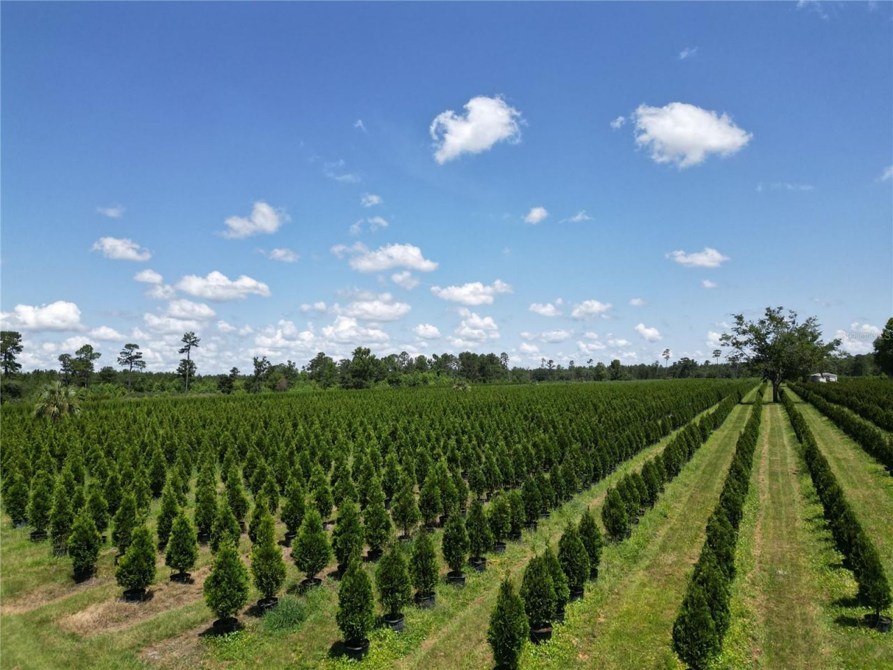 Please Call For Address, White Springs, FL 32096 Photo