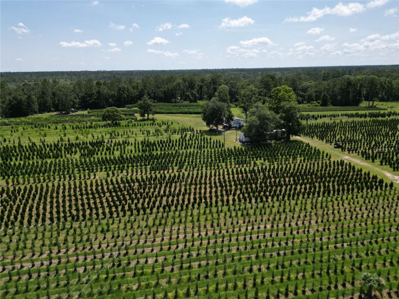 Please Call For Address, White Springs, FL 32096 Photo