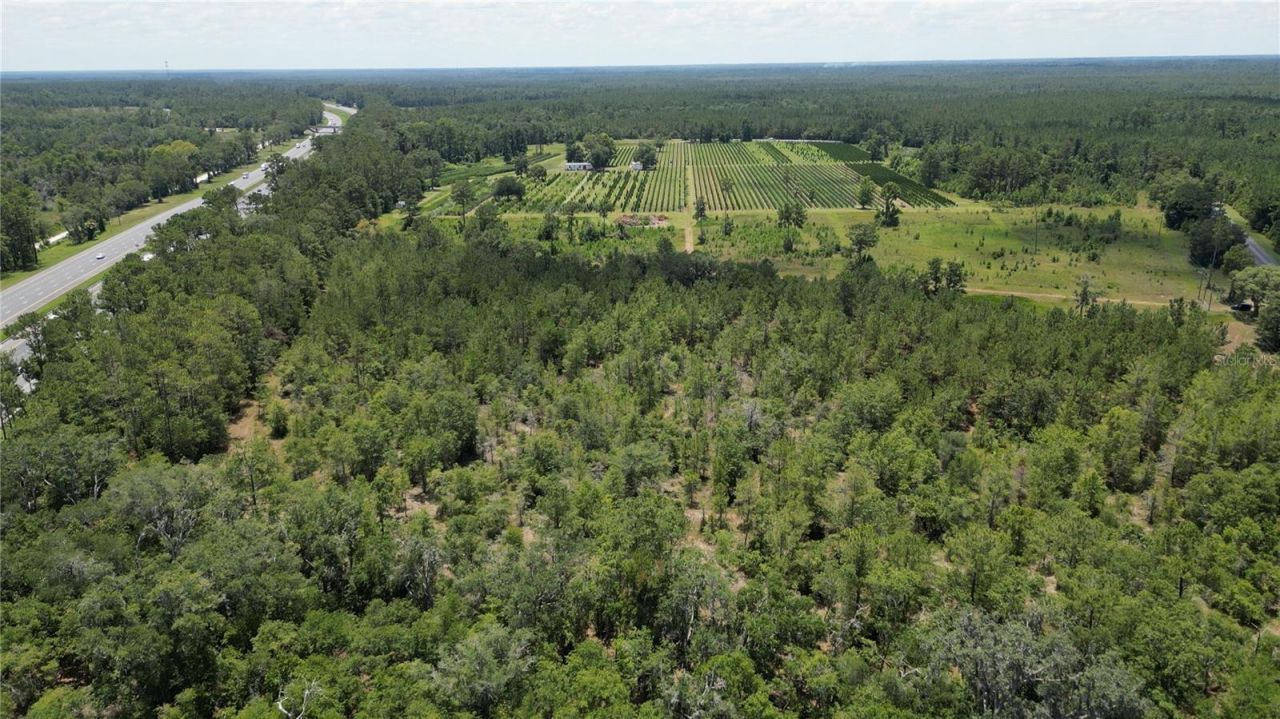 Please Call For Address, White Springs, FL 32096 Photo