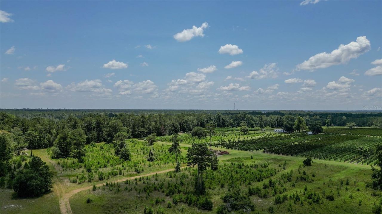 Please Call For Address, White Springs, FL 32096 Photo