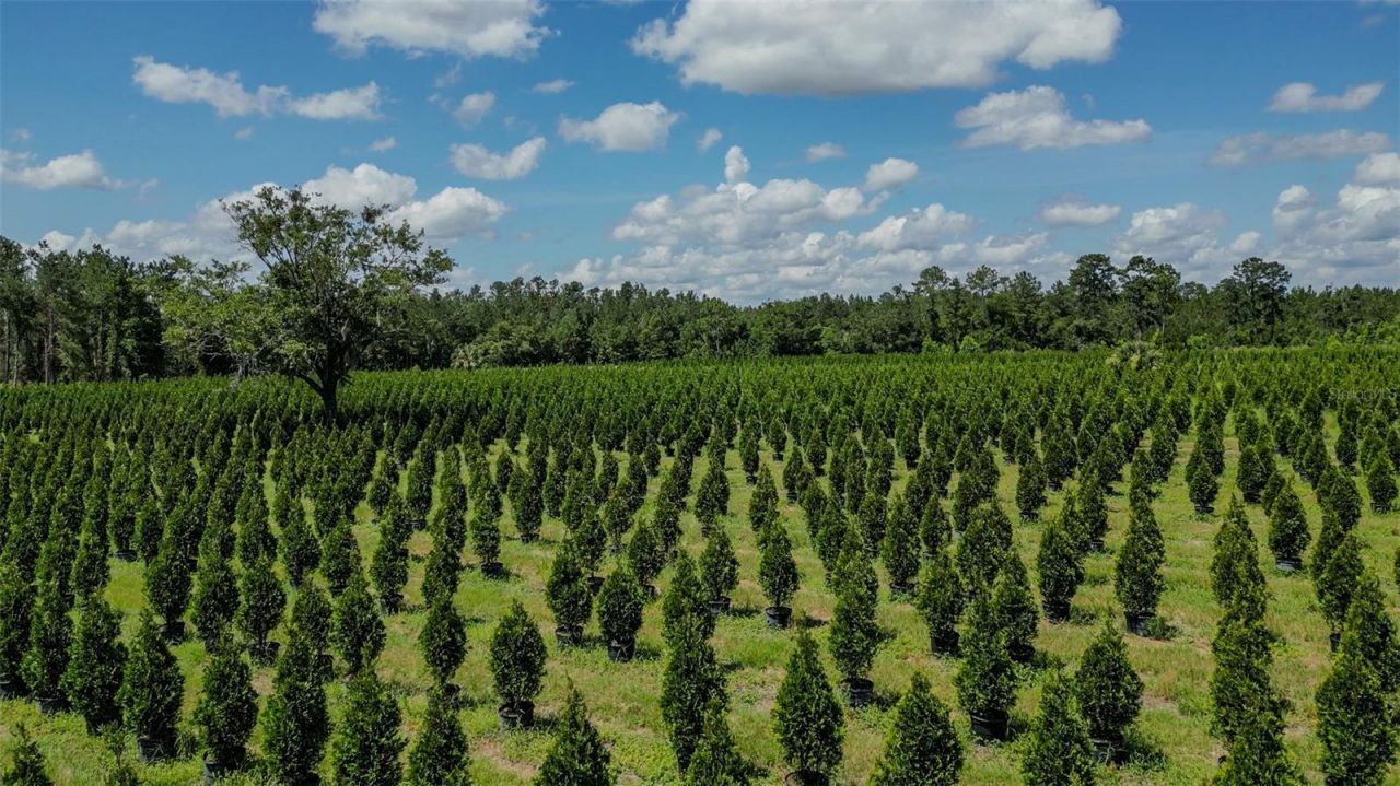 Please Call For Address, White Springs, FL 32096 Photo