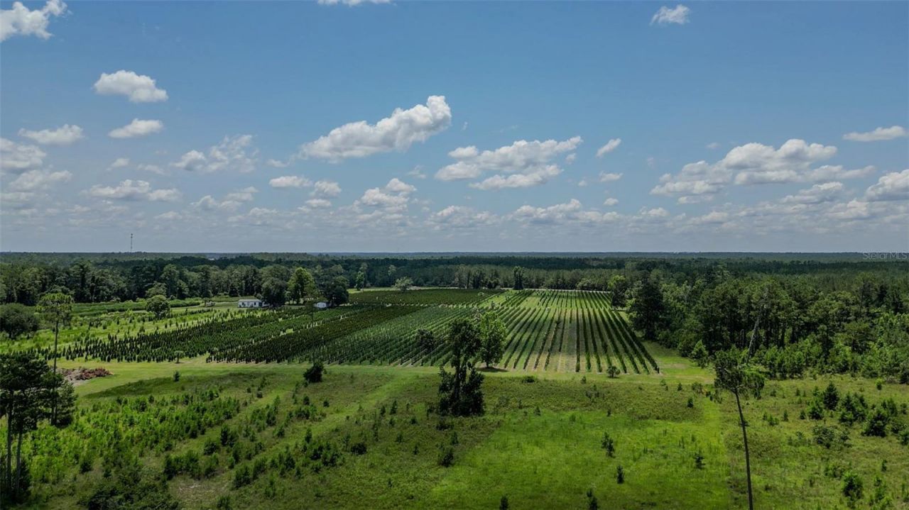 Please Call For Address, White Springs, FL 32096 Photo