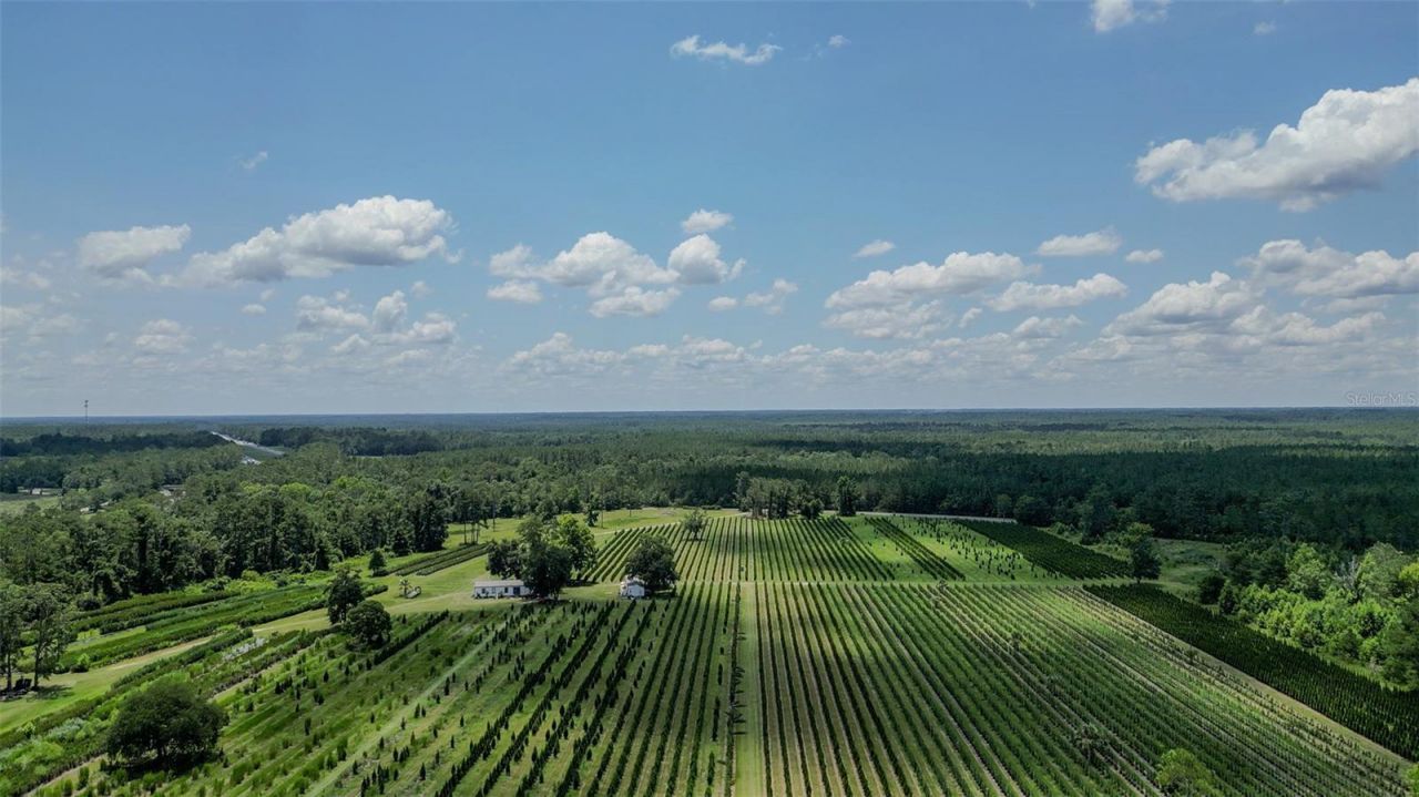 Please Call For Address, White Springs, FL 32096 Photo