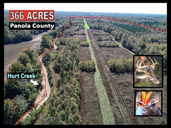 0 Shiloh Road, Courtland, MS 38620