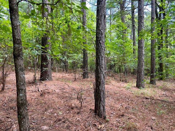 40 Trout Creek Road, Watson, OK 74963