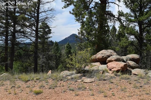 93 Kiowa Creek Trail, Florissant, CO 80816 Main Photo