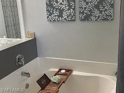 2501 Hawks Preserve Dr, Fort Myers, FL 33905 Photo