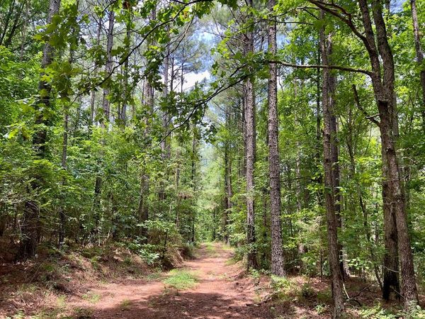 60 Trout Creek Road, Watson, OK 74963