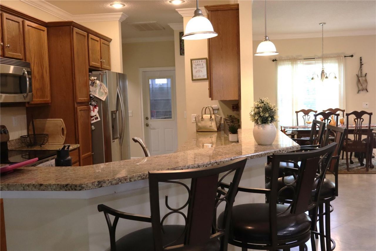 876 Cr 467, Lake Panasoffkee, FL 33538 Photo