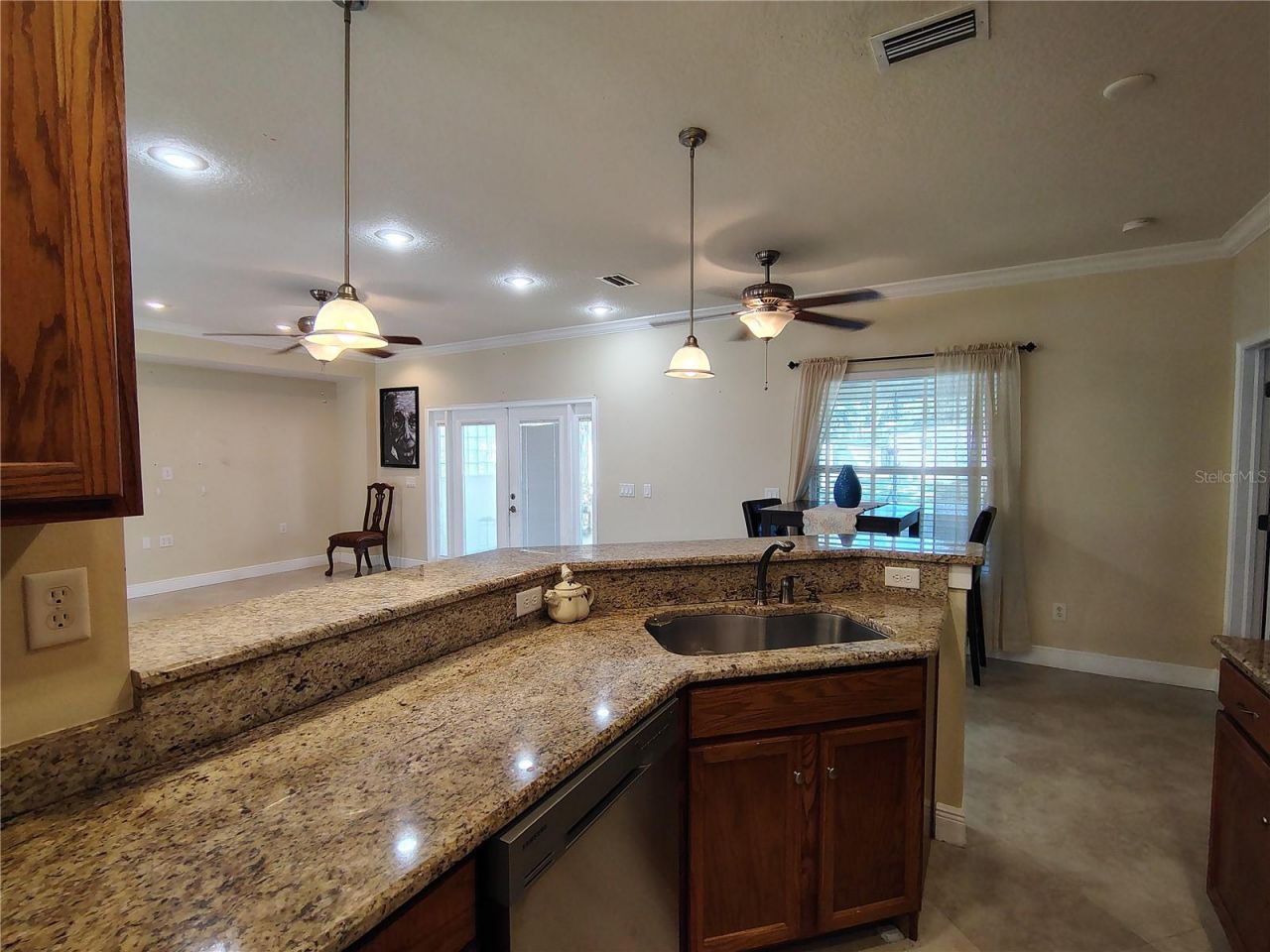 876 Cr 467, Lake Panasoffkee, FL 33538 Photo