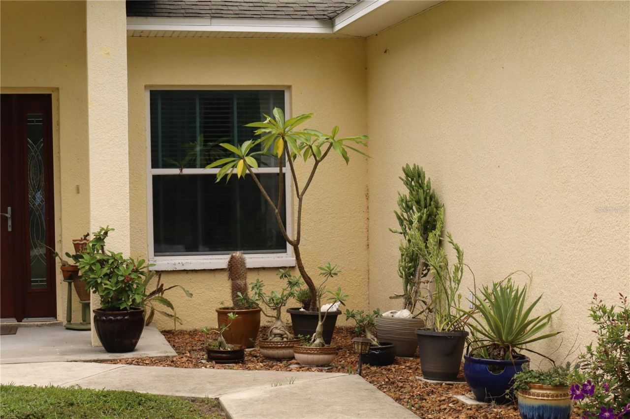 876 Cr 467, Lake Panasoffkee, FL 33538 Photo