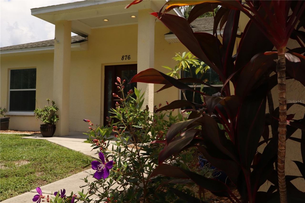 876 Cr 467, Lake Panasoffkee, FL 33538 Photo