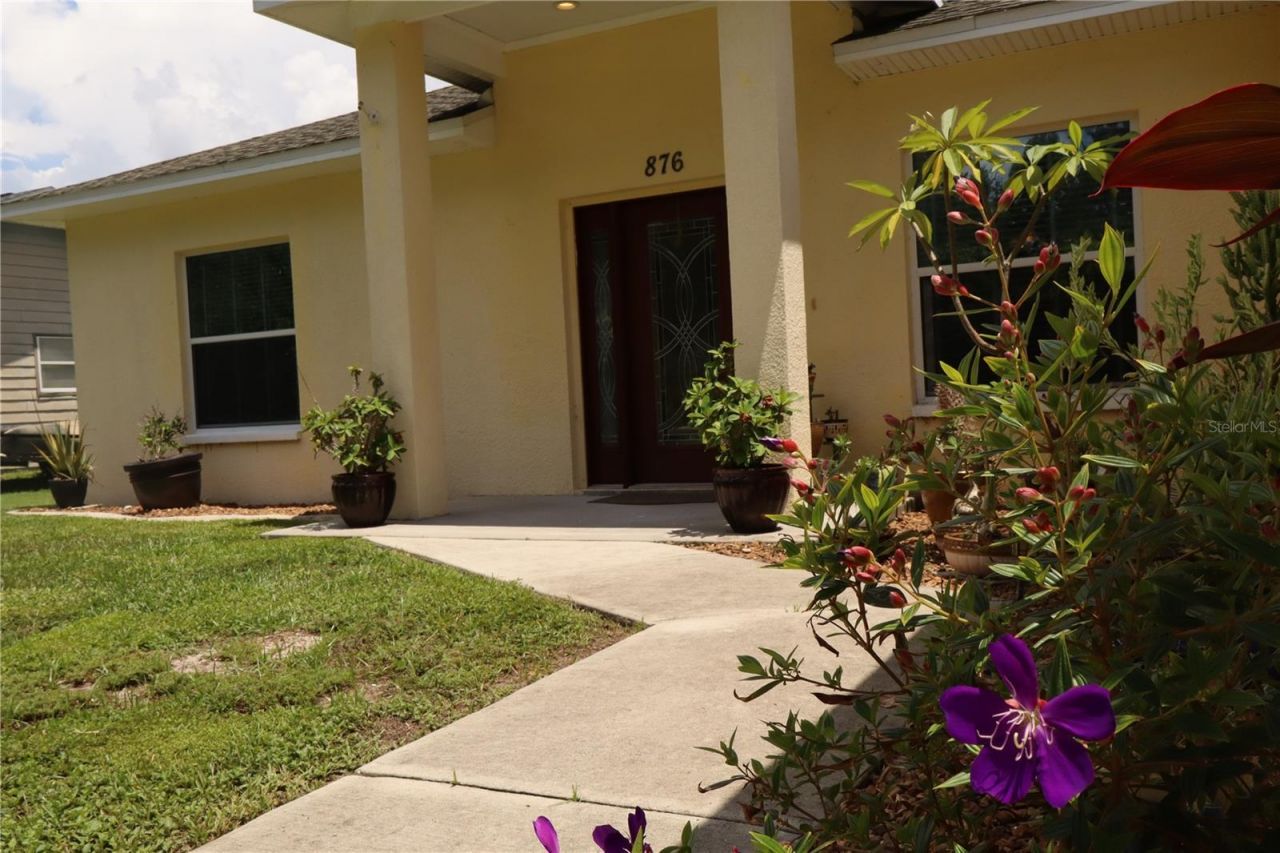 876 Cr 467, Lake Panasoffkee, FL 33538 Photo