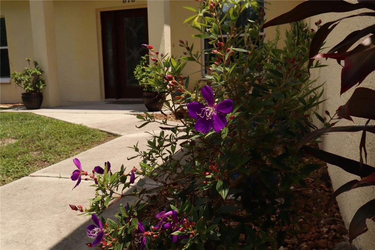 876 Cr 467, Lake Panasoffkee, FL 33538 Photo