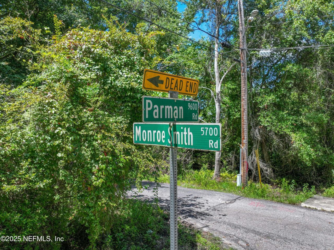 0 Monroe Smith Road, Jacksonville, FL 32222 Photo