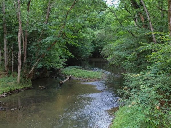 0 Co Rd 88, Anderson, AL 35610