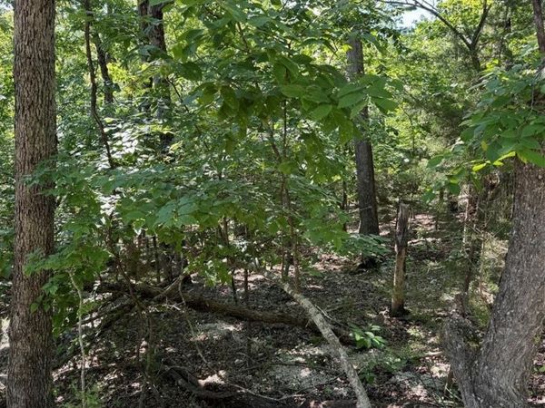 123? RedBird Point , Camdenton, MO 65020