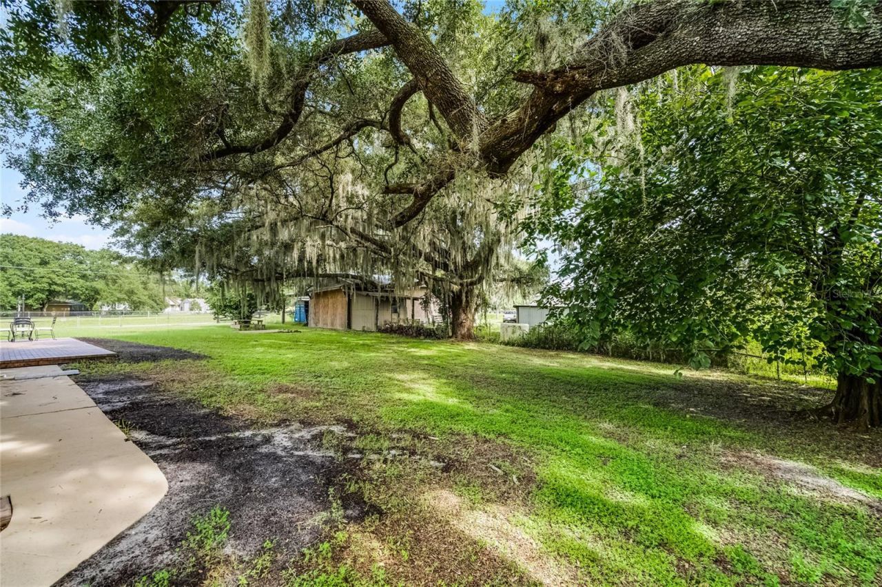 1200 Lake Harney Road, Geneva, FL 32732 Photo