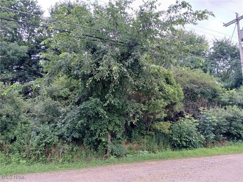 Bronco Road, Ravenna, OH 44266 Photo 2