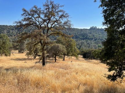 7607 S White Oak Lane, Browns Valley, CA 95918 Photo