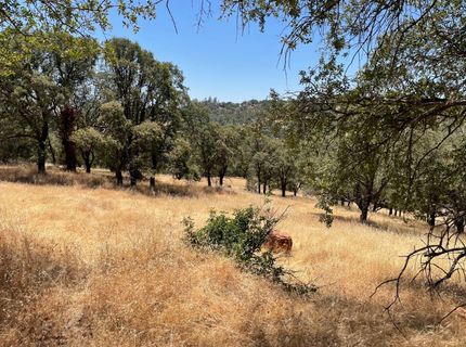 7607 S White Oak Lane, Browns Valley, CA 95918 Photo