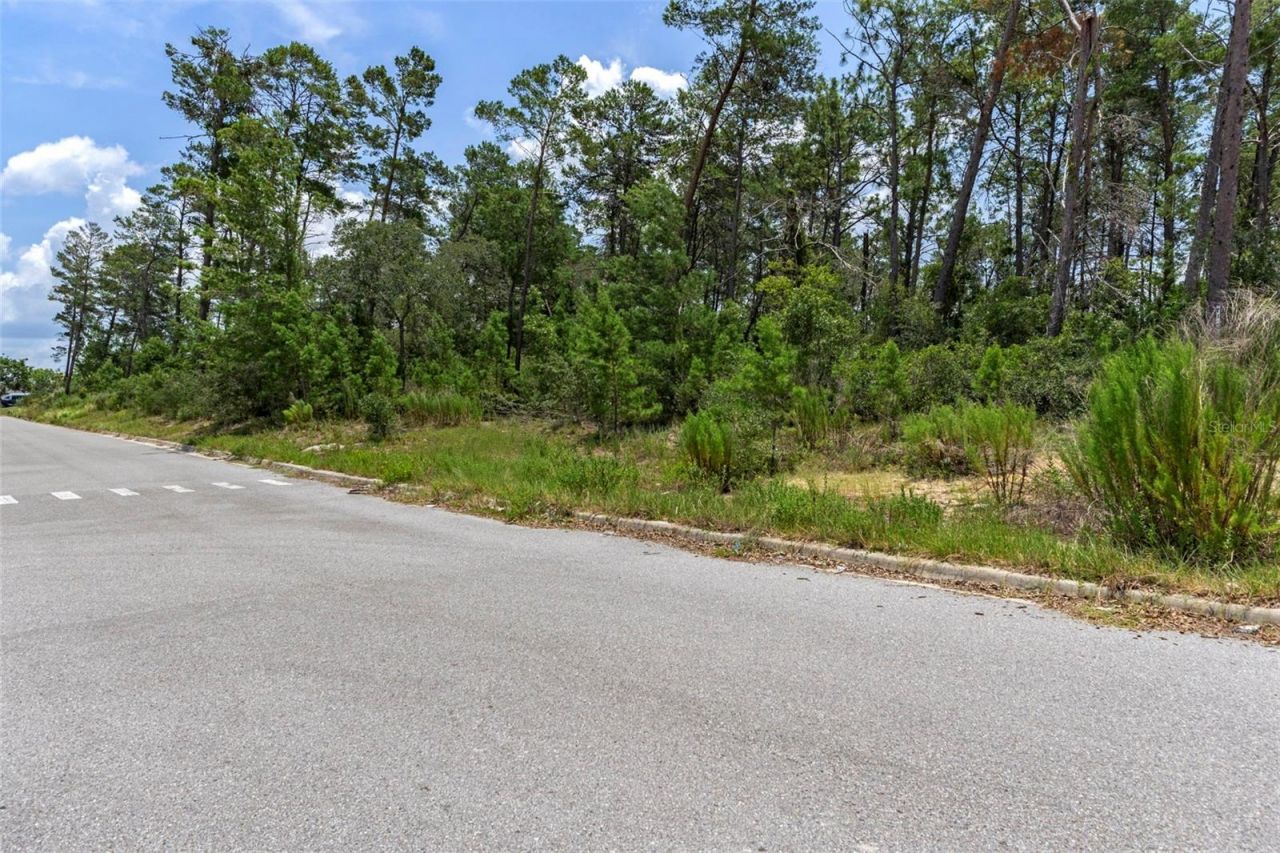 00 Sagheer Street, Brooksville, FL 34613 Photo