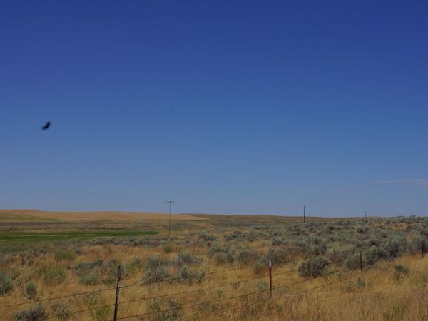 NKA Coal Sprigs Rd, Harrington, WA 99134