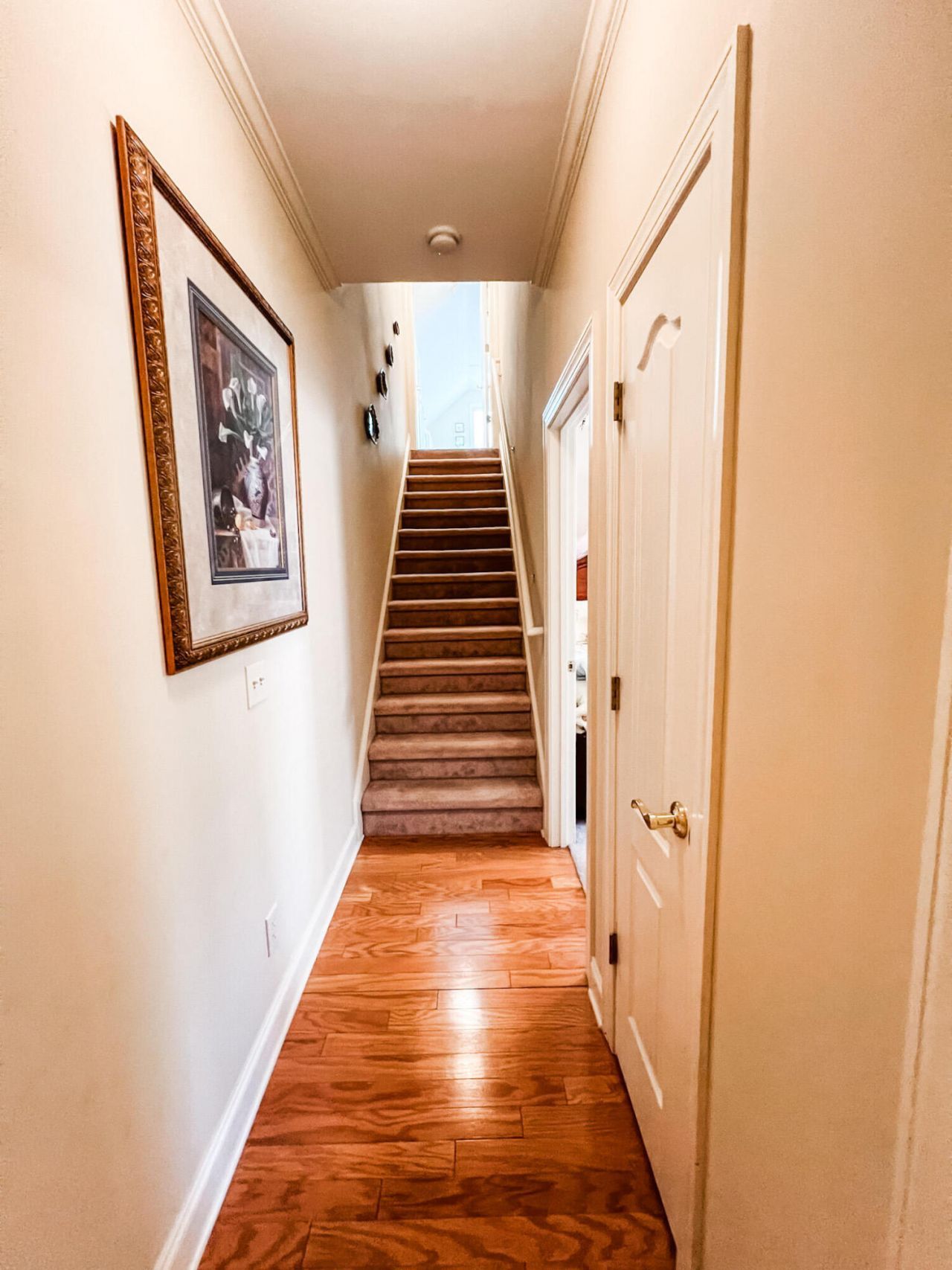 217 Khaki Court Photo 18