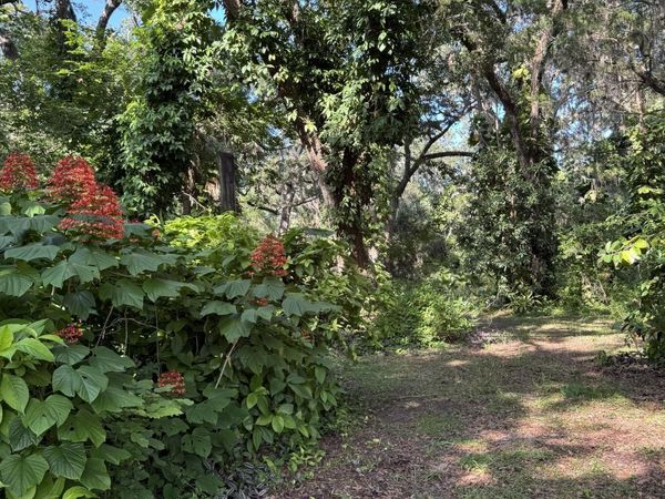 0 Jackson Street, Port Orange, FL 32129