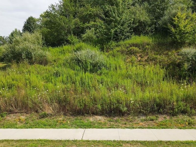 2771 Superior Drive, Green, OH 44685 Photo 3