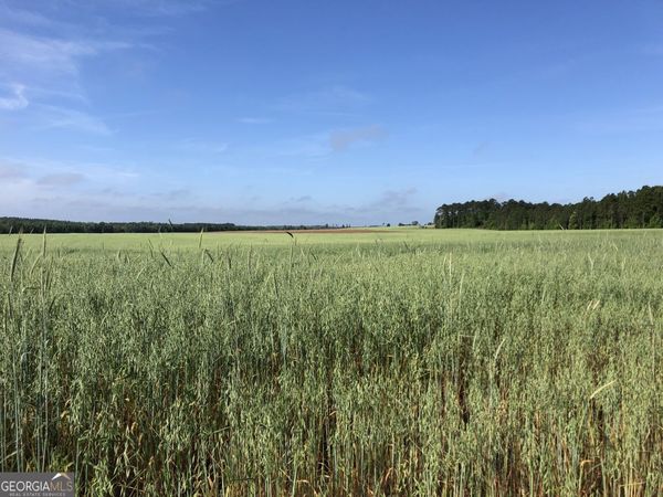 0 Hwy 257, Chester, GA 31012